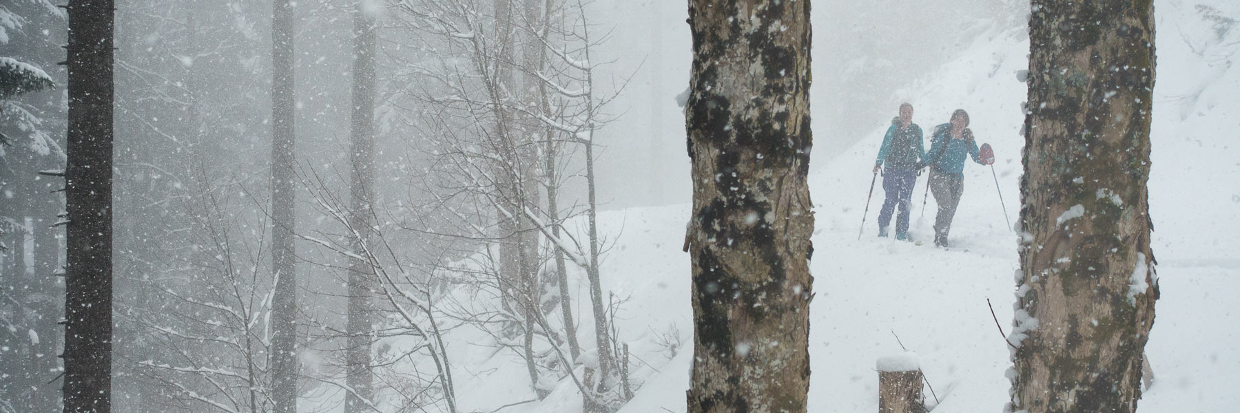 Schneefall im Aufstieg zur Brünnsteinschanze