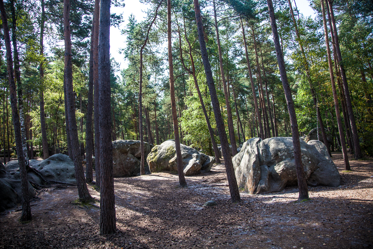 Boulderparadies Fontainebleau