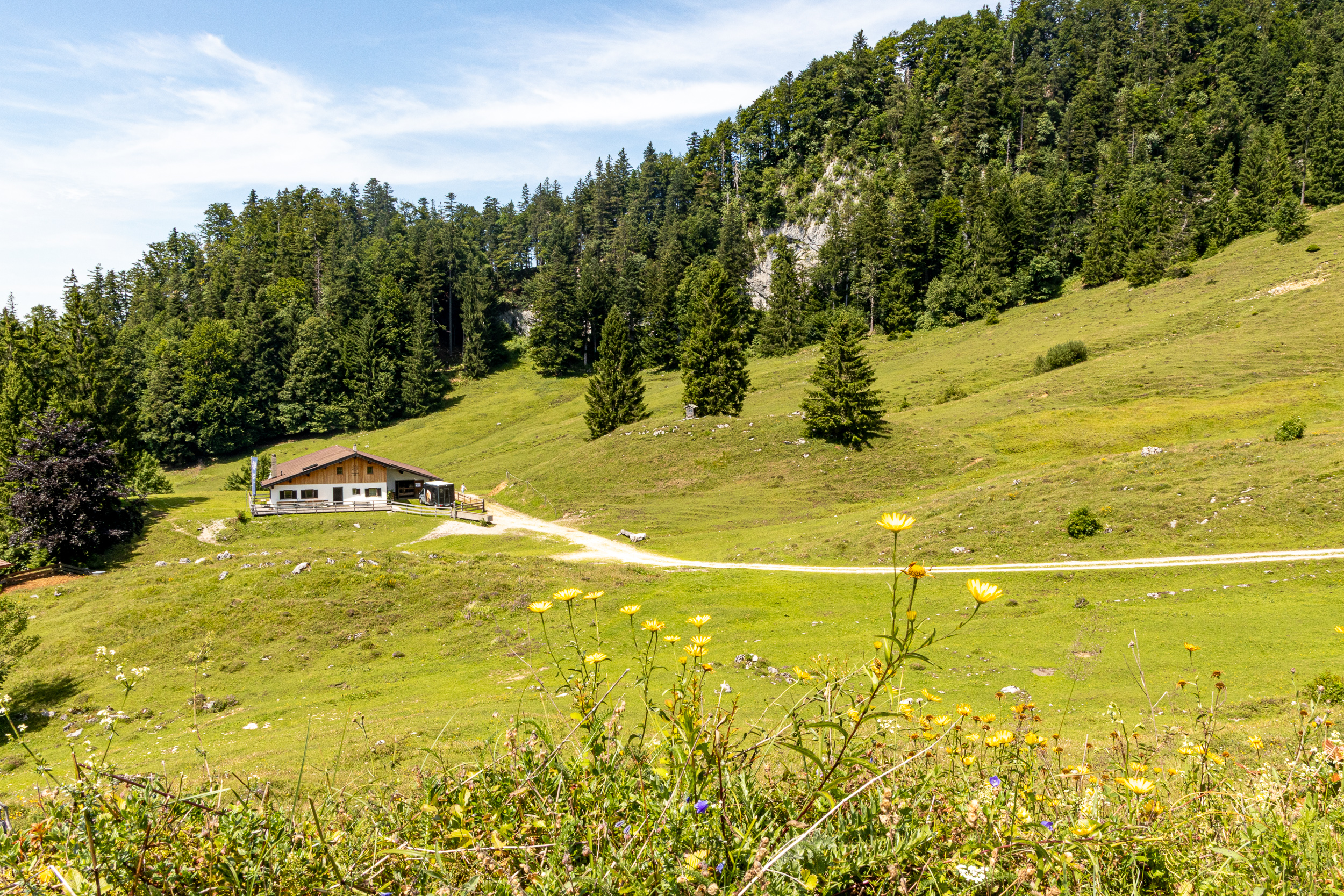 Die Buchauer Alm - dahinter im Wald spitzt die Wand hervor. Die Buchauer Alm - dahinter im Wald spitzt die Wand hervor.